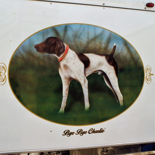 pet artwork